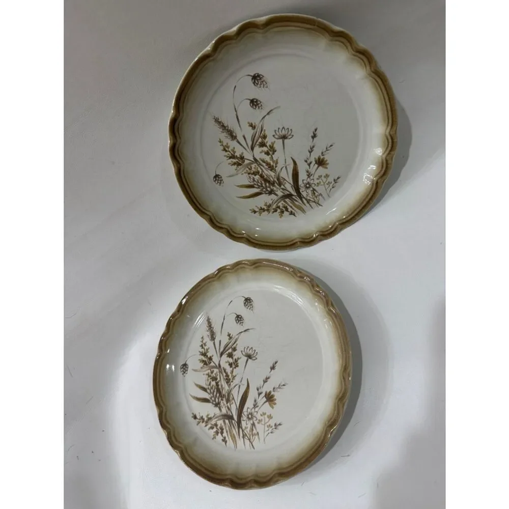 Mikasa Manor House Autumn Breeze Cream Brown Floral Scalloped 2 Dessert Plates